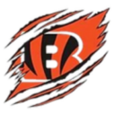 Inner City Bengals - SWFL Football