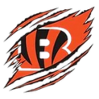 Inner City Bengals - SWFL Football